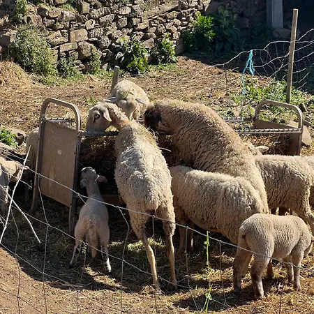 Holiday home Manor Meeder