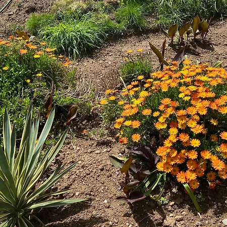 Manor Meeder Semesterbostad