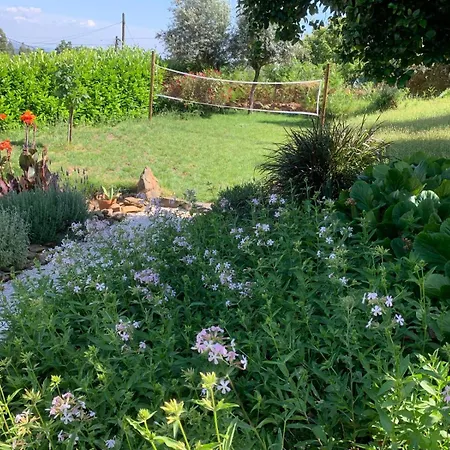 Semesterbostad Manor Meeder