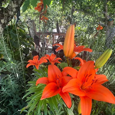 Holiday home Manor Meeder Castanheira de Pera