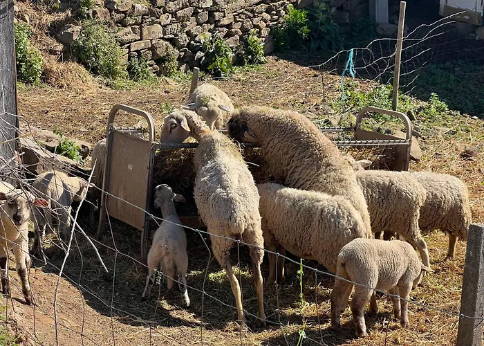 Casa vacanze Manor Meeder