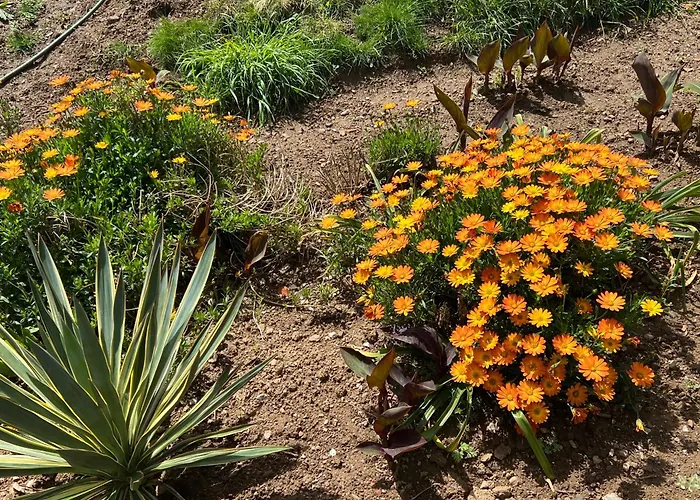 Manor Meeder Casa vacanze