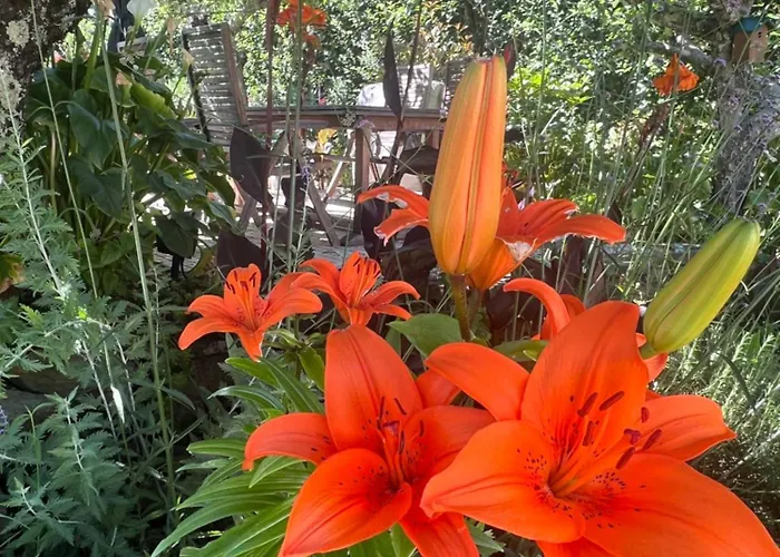 Casa vacanze Manor Meeder Castanheira de Pera